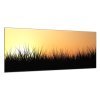 Obraz skleněný tráva v západu slunce (Rozměry-obdélník 90 x 120 cm)