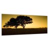 Obraz skleněný západ slunce na vsi (Rozměry-obdélník 90 x 120 cm)