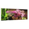 Obraz skleněný květ růžová orchidej bambus a zen kámen (Rozměry-obdélník 90 x 120 cm)