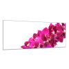 Obraz skleněný mnoho květů tyrkysově růžové orchideje (Rozměry-obdélník 90 x 120 cm)