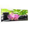 Obraz skleněný jeden květ orchideje na zen kamenech (Rozměry-obdélník 90 x 120 cm)