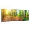 Obraz skleněný lesní pěšina (Rozměry-obdélník 90 x 120 cm)