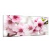 Obraz skleněný rozkvetlé růžové květy na větvi (Rozměry-obdélník 90 x 120 cm)