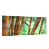 Obraz skleněný hnědý bambus a zelené pozadí (Rozměry-obdélník 90 x 120 cm)
