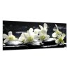 Obraz skleněný květy bílá orchidej na černém kameni (Rozměry-obdélník 90 x 120 cm)