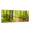 Obraz skleněný lesní cestička (Rozměry-obdélník 90 x 120 cm)