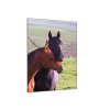 Obraz skleněný dva arabští koně na louce (Rozměry-obdélník 90 x 120 cm)