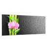 Obraz skleněný květ růžová orchidej a bambus na černém pozadí (Rozměry-obdélník 90 x 120 cm)