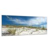 Obraz skleněný písečná duna s trávou (Rozměry-obdélník 90 x 120 cm)