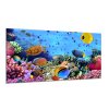 Obraz do koupelny želva, ryby, korály a sasanky (Rozměry-obdélník 90 x 120 cm)
