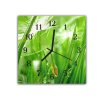 Nástěnné hodiny 30x30cm stvoly zelené trávy a chmýří odkvetlé pampelišky (Materiál kalené sklo)