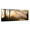Obraz skleněný most v podzimním parku (Rozměry-obdélník 90 x 120 cm)