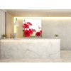 Obraz skleněný čtvercový červené gerbery a motýl (Rozměry-čtverec 90 x 90 cm)