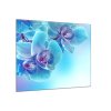 Obraz skleněný čtvercový květ modrá orchidej a modrý stín (Rozměry-čtverec 90 x 90 cm)