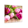 Obraz do ložnice čtvercový květy růžových tulipánů (Rozměry-čtverec 90 x 90 cm)