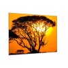 Obraz skleněný západ slunce Afrika Keňa (Rozměry-čtverec 90 x 90 cm)