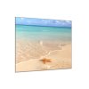 Obraz skleněný mořská hvězdice na písečné pláži (Rozměry-čtverec 90 x 90 cm)