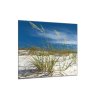 Obraz skleněný nebe a písečná duna s trávou (Rozměry-čtverec 90 x 90 cm)