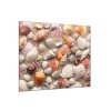 Obraz skleněný mušle na písečné pláži (Rozměry-čtverec 90 x 90 cm)