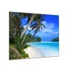 Obraz skleněný moře, palmy, pláž (Rozměry-čtverec 90 x 90 cm)