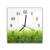 Nástěnné hodiny 30x30cm zelená jarní tráva na bílém podkladu (Materiál kalené sklo)