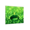 Obraz skleněný čtvercový kapka vody na zeleném skle (Rozměry-čtverec 90 x 90 cm)