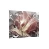 Obraz skleněný čtvercový abstraktní šedý květ tulipánu (Rozměry-čtverec 90 x 90 cm)
