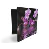 Glasdekor skříňka na klíče - květy temně fialové orchideje nad hladinou (Barva skříňky Černá, Otevírání Pravé)