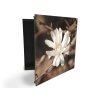 Glasdekor skříňka na klíče - květ bílé magnolie na hnědém pozadí (Barva skříňky Černá, Otevírání Pravé)