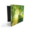 Glasdekor skříňka na klíče - krásně zelený les a slunce (Barva skříňky Černá, Otevírání Pravé)