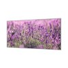 Ochranná deska pole květů levandulí (Lepení na zeď Bez lepení na zeď, Rozměr 70x70 cm)