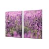 Ochranná deska pole květů levandulí (Lepení na zeď Bez lepení na zeď, Rozměr 70x70 cm)