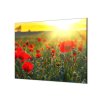 Ochranná deska vlčí máky v západu slunce (Lepení na zeď S lepením na zeď, Rozměr 70x70 cm)