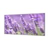 Ochranná deska květy levandule (Lepení na zeď S lepením na zeď, Rozměr 70x70 cm)