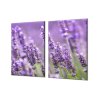 Ochranná deska květy levandule (Lepení na zeď S lepením na zeď, Rozměr 70x70 cm)