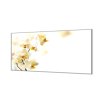 Ochranná deska květy žluté orchideje (Lepení na zeď S lepením na zeď, Rozměr 70x70 cm)