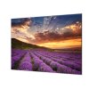 Ochranná deska levandulové pole (Lepení na zeď S lepením na zeď, Rozměr 70x70 cm)