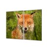 Ochranná deska liška v trávě (Lepení na zeď S lepením na zeď, Rozměr 70x70 cm)
