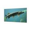 Ochranná deska s motivem štika ve vodě (Lepení na zeď S lepením na zeď, Rozměr 70x70 cm)