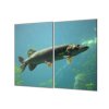 Ochranná deska s motivem štika ve vodě (Lepení na zeď S lepením na zeď, Rozměr 70x70 cm)