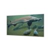 Ochranná deska ryba jeseter ve vodě (Lepení na zeď S lepením na zeď, Rozměr 70x70 cm)