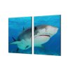 Ochranná deska dravá ryba žralok v moři (Lepení na zeď S lepením na zeď, Rozměr 70x70 cm)