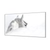Ochranná deska silueta andaluského koně (Lepení na zeď S lepením na zeď, Rozměr 70x70 cm)