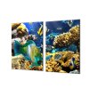 Ochranná deska mořský svět, korály, ryba (Lepení na zeď S lepením na zeď, Rozměr 70x70 cm)