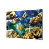 Ochranná deska mořský svět, korály, ryba (Lepení na zeď S lepením na zeď, Rozměr 70x70 cm)