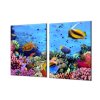 Ochranná deska mořský svět rybky, sasanka (Lepení na zeď S lepením na zeď, Rozměr 70x70 cm)