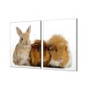 Ochranná deska králík a morčata (Lepení na zeď S lepením na zeď, Rozměr 70x70 cm)