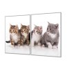 Ochranná deska čtyři koťata na bílém pozadí (Lepení na zeď S lepením na zeď, Rozměr 70x70 cm)
