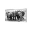 Ochranná deska stádo slonů (Lepení na zeď S lepením na zeď, Rozměr 70x70 cm)