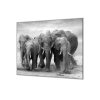 Ochranná deska stádo slonů (Lepení na zeď S lepením na zeď, Rozměr 70x70 cm)
